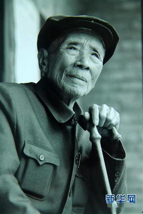 杨善洲图片,扎根边疆的造林英雄