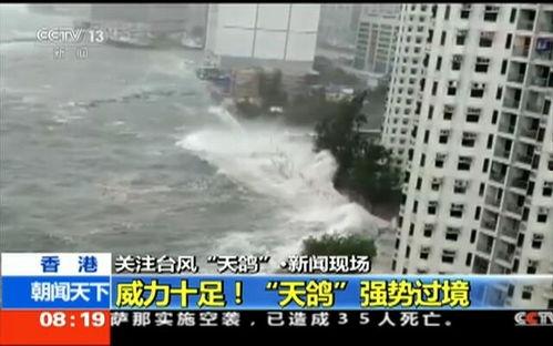 天鸽台风娱乐,惊心动魄的台风娱乐风暴