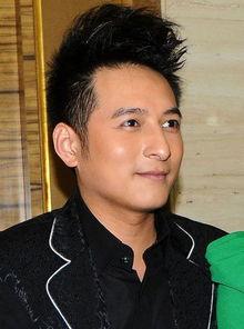 李维嘉 照片,魅力四溢的综艺主持