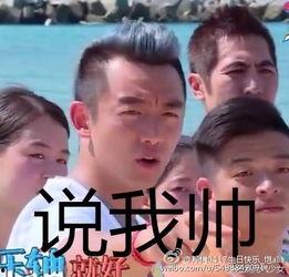郑恺表情包带字,笑点满满，带你领略喜剧魅力