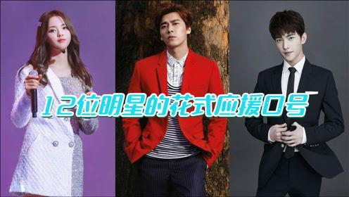 明星们的应援口号,明星应援口号背后的力量与情感
